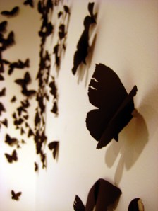 Butterflies2